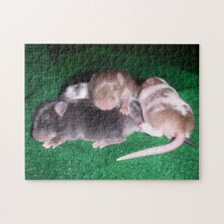 Mouse Puzzle:  4 Baby Mice Jigsaw Puzzle