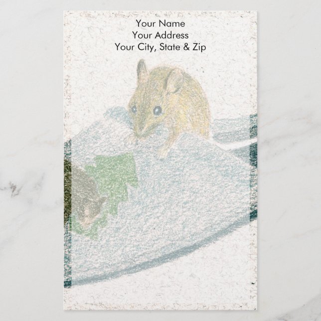 Mouse Slipper Stationery (Front)