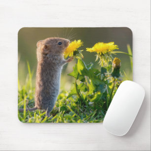 Mouse Smelling a Yellow Dandelion Mat