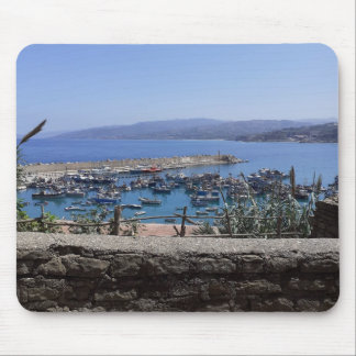 Mouse Summer Carpet Mat