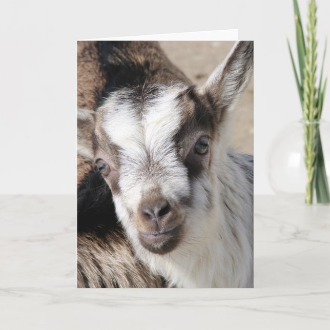 Mouse The Alpine Kid Card (Front)