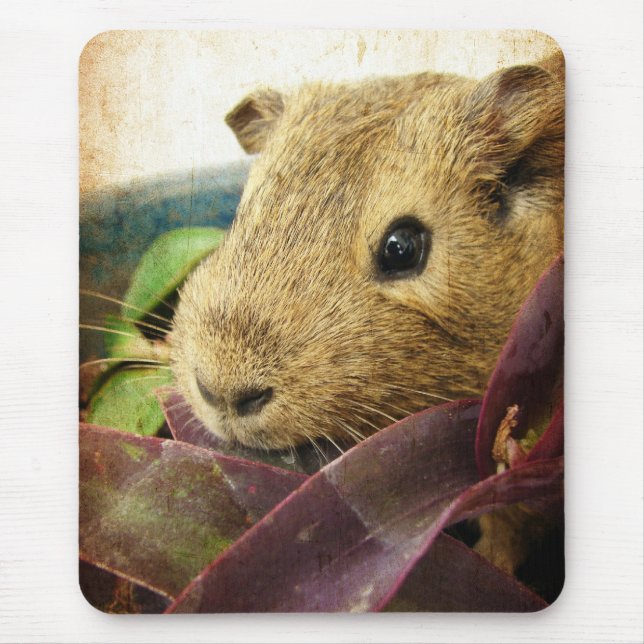 Mouse the Guinea Pig Mat (Front)