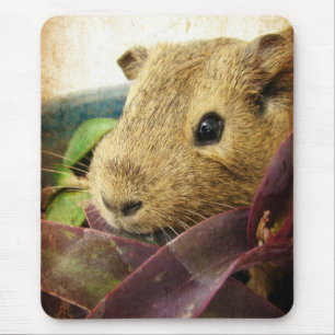 Mouse the Guinea Pig Mouse Mat