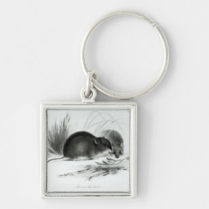 Mouse, Tierra del Fuego, South America c.1832-36 Key Ring