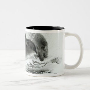 Mouse, Tierra del Fuego, South America c.1832-36 Two-Tone Coffee Mug