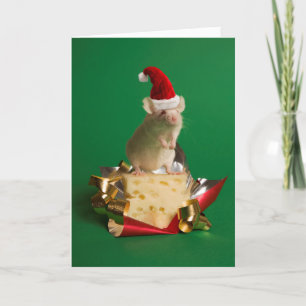 Mouse with Santa's hat with cheese Holiday Card
