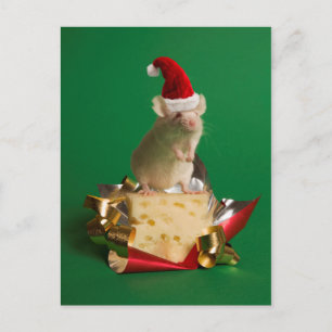 Mouse with Santa's hat with cheese Holiday Postcard