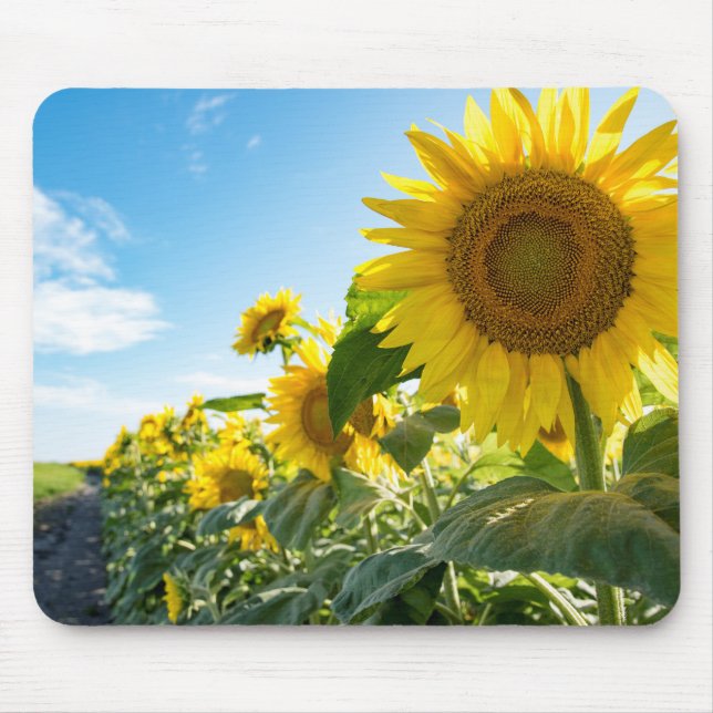 Mousepad (Front)