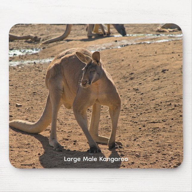 Mousepad (Front)