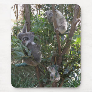 Mousepad Adopt A Koala Australia