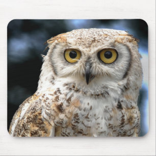 Mousepad Canadian Owl