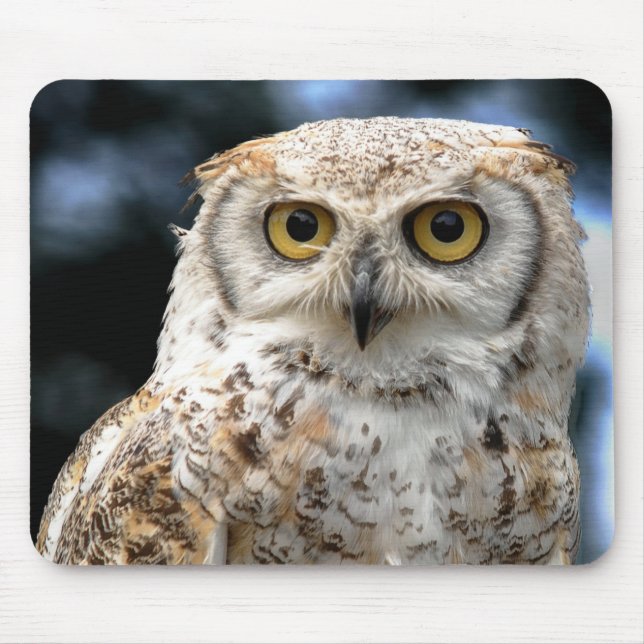Mousepad Canadian Owl (Front)