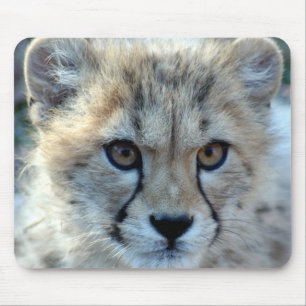 Mousepad-cheetah-cub10x10 Mouse Mat