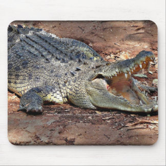 Mousepad - Crocodile