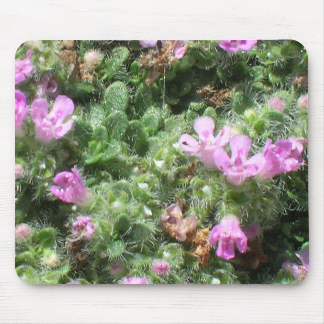 Mousepad - Elfin thyme (Front)