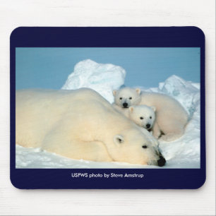 Mousepad / Endangered / Polar Bear & Cubs