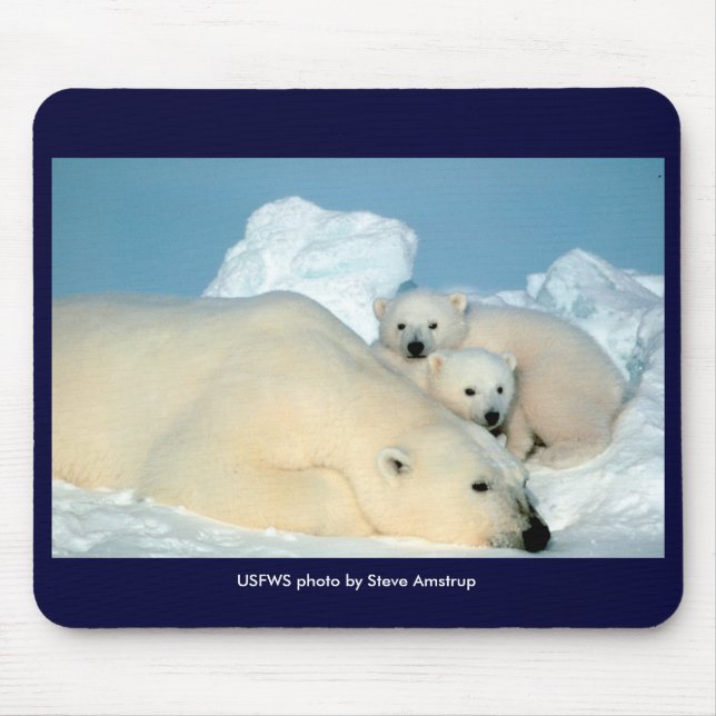Mousepad / Endangered / Polar Bear & Cubs (Front)