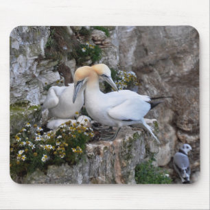 Mousepad: Gannets and Flowers Mouse Mat