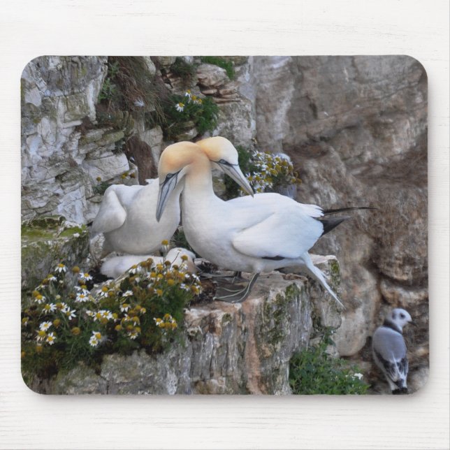 Mousepad: Gannets and Flowers Mouse Mat (Front)