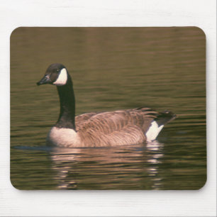 Mousepad - Goose