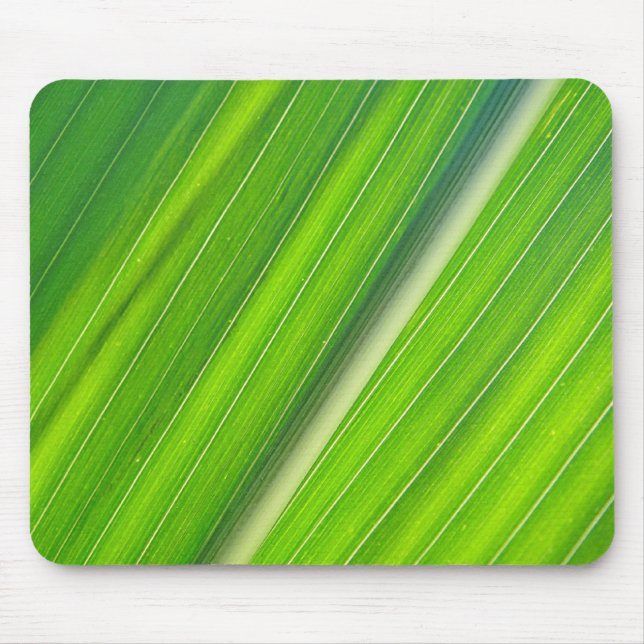 Mousepad hellgrünes Maisblattdesign (Front)
