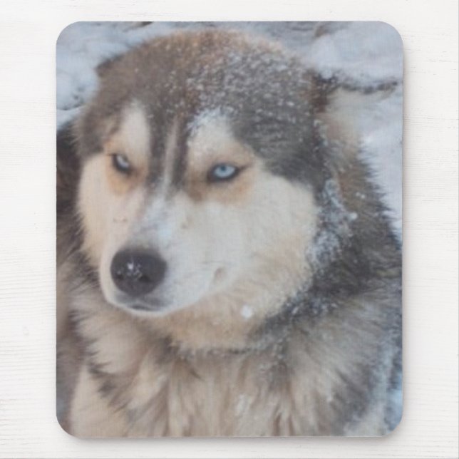 Mousepad Husky Blue Eyes (Front)