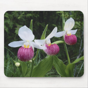 Mousepad-Lady Slipper Orchids Mouse Mat