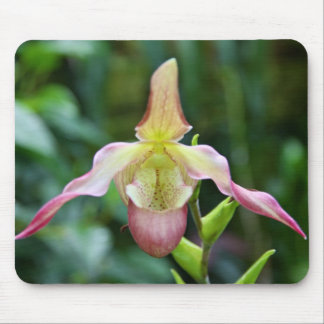 Mousepad - Ladyslipper