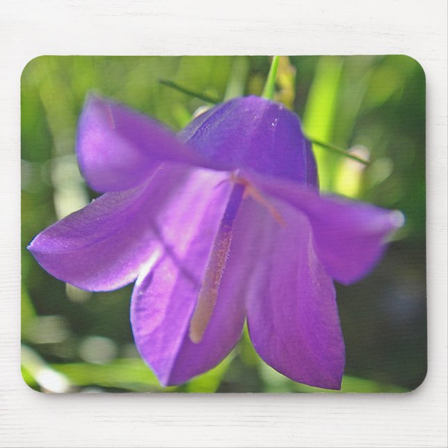 Mousepad lila Glockenblume (Front)
