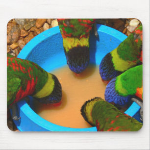 Mousepad, Lorikeets Mouse Mat