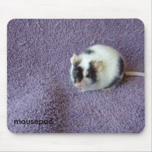 mousepad. mouse mat
