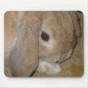 Mousepad or Mousemat - Lop Eared Dwarf Rabbit