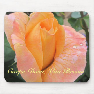 Mousepad--Orange Rose With Raindrops Mouse Mat