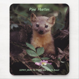 Mousepad / Pine Marten