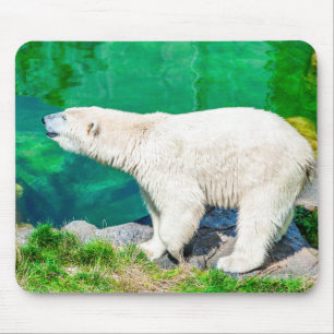 Mousepad polar bear