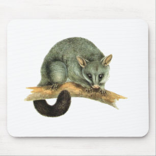 Mousepad - Possum