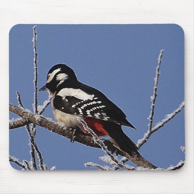 Mousepad pretty spotted woodpecker (Front)