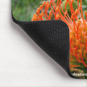 Mousepad - Protea pin cushion flower (Corner)
