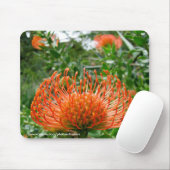 Mousepad - Protea pin cushion flower (With Mouse)