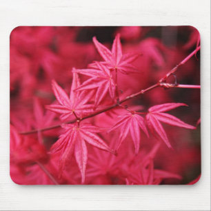 Mousepad-Red Maple Tree Mouse Mat