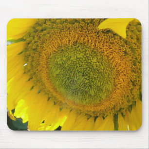 Mousepad: Sunflower bloom Mouse Mat