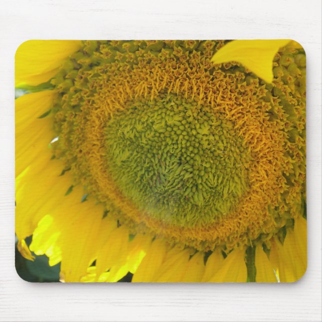 Mousepad: Sunflower bloom Mouse Mat (Front)