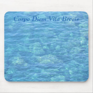 Mousepad--Tide Pool Mouse Mat