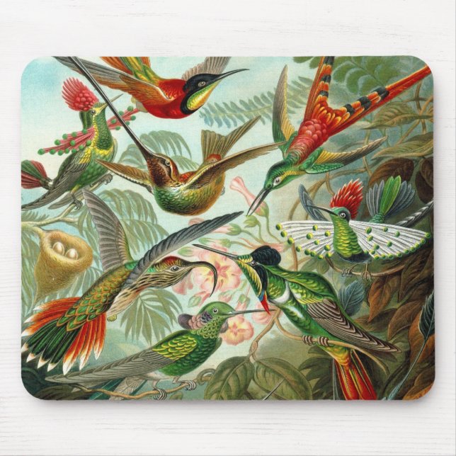 Mousepad Vintage Artist Ernst Haeckel Trochilidae (Front)