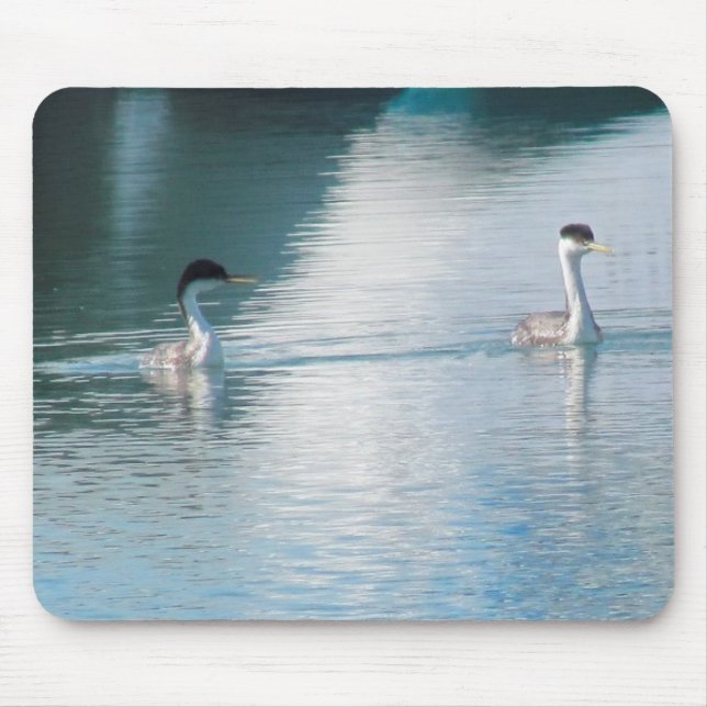 Mousepad - Western Grebe (Front)