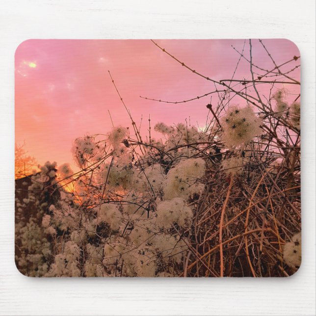 Mousepad Winter Sunset And Clematis Vines (Front)