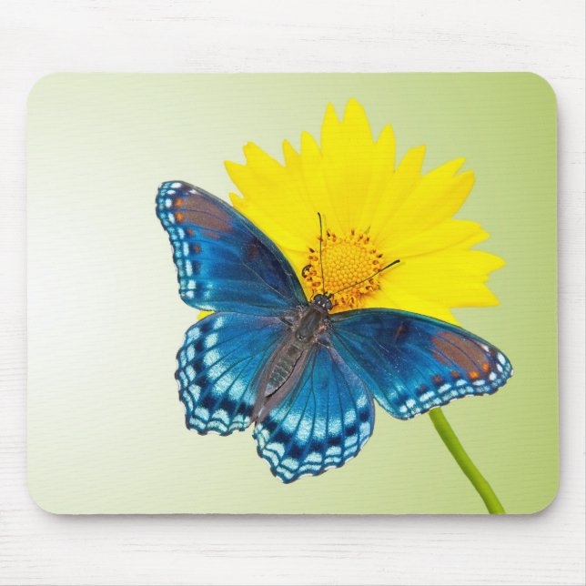 Mousepad with a butterfly and a flower (Front)