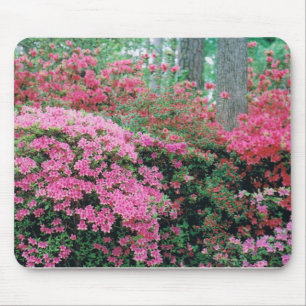 Mousepad with a Spray of Pink Azaleas