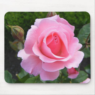 Mousepad with beautiful pink rose
