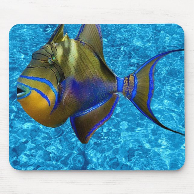 Mousepad with Blue Waters Design (Front)